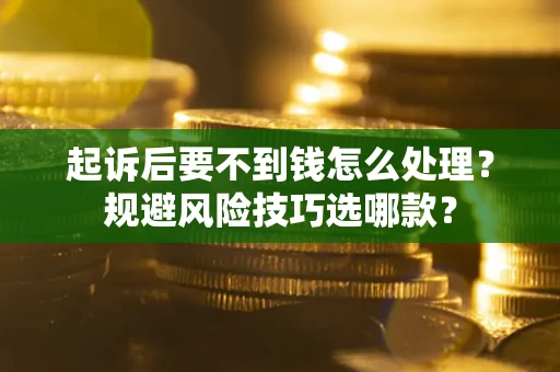 北京起诉后要不到钱怎么处理？规避风险技巧选哪款？